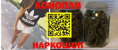 PSILOCYBIN Кунгур
