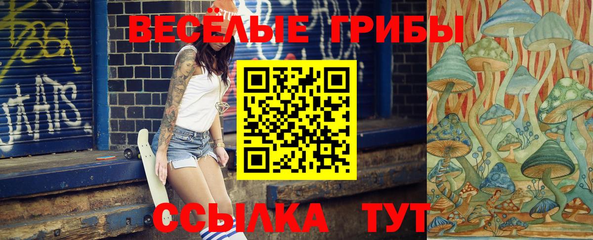 Псилоцибиновые грибы прущие грибы  Вход с VPN  Кириши 